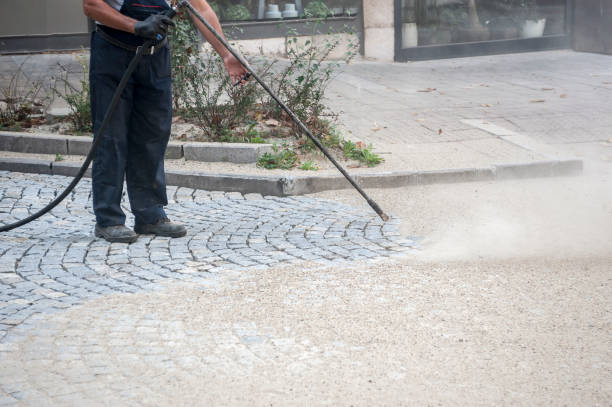 Animal Enclosure Cleaning in Hillsboro Beach, FL